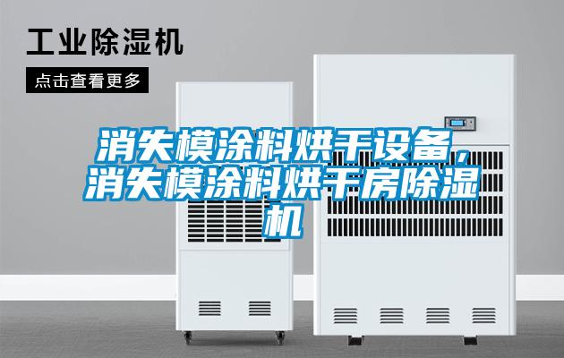 消失模涂料烘干設(shè)備，消失模涂料烘干房除濕機(jī)