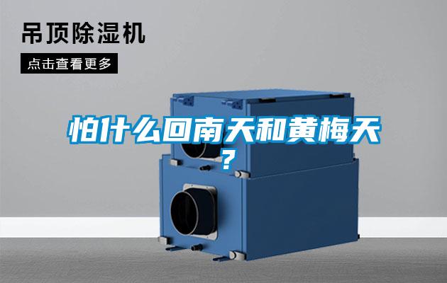 怕什么回南天和黃梅天？