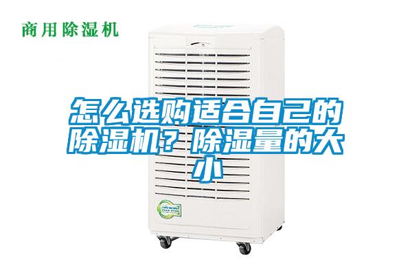 怎么選購適合自己的除濕機？除濕量的大小