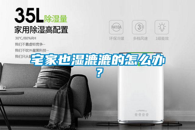 宅家也濕漉漉的怎么辦？
