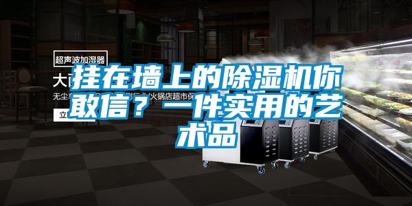 掛在墻上的除濕機(jī)你敢信？一件實用的藝術(shù)品
