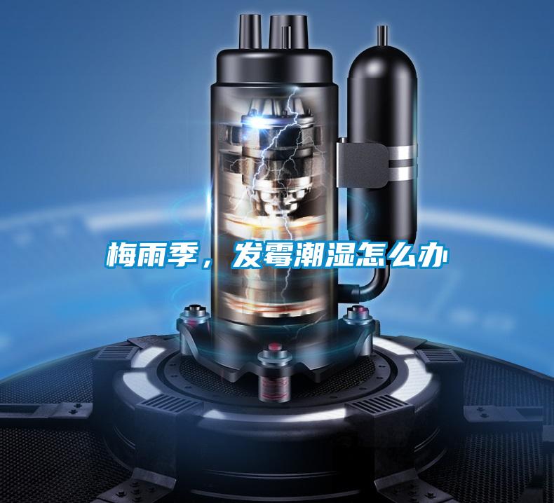 梅雨季，發(fā)霉潮濕怎么辦