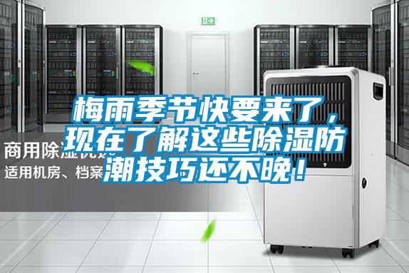 梅雨季節(jié)快要來了，現(xiàn)在了解這些除濕防潮技巧還不晚！