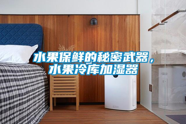 水果保鮮的秘密武器，水果冷庫加濕器