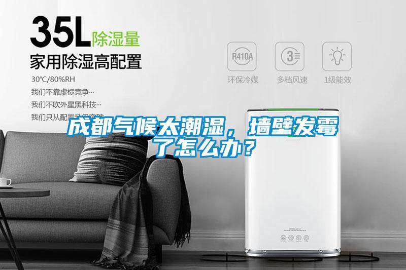 成都氣候太潮濕，墻壁發(fā)霉了怎么辦？