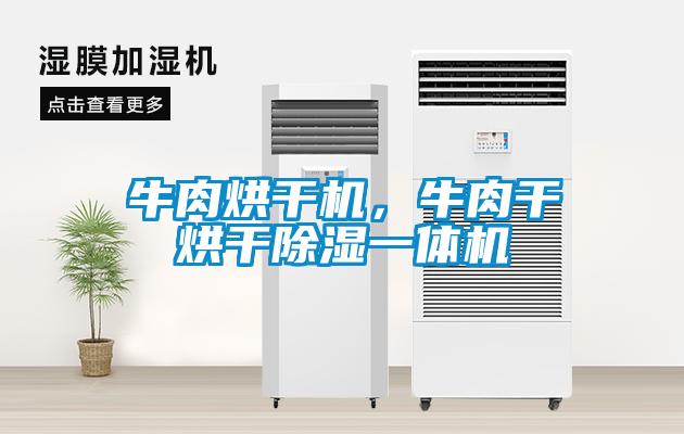 牛肉烘干機(jī)，牛肉干烘干除濕一體機(jī)