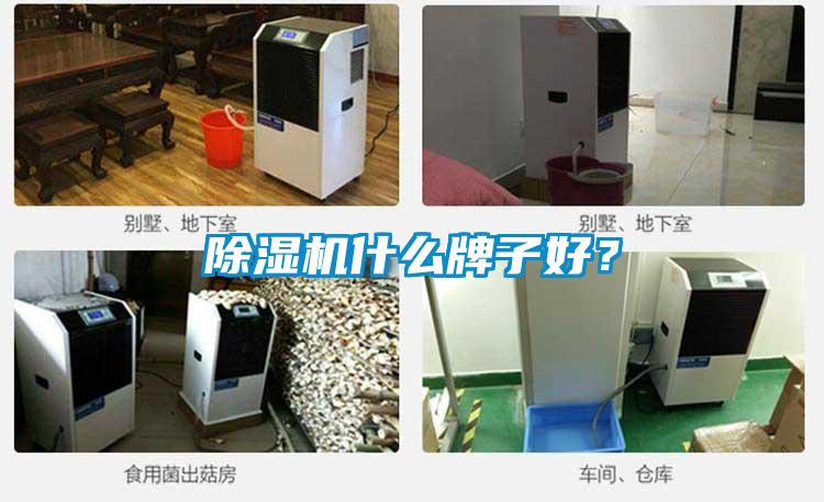 除濕機(jī)什么牌子好？