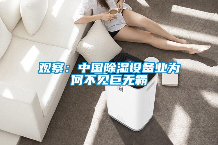 觀察:中國除濕設(shè)備業(yè)為何不見巨無霸