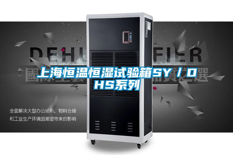 上海恒溫恒濕試驗(yàn)箱SY／DHS系列