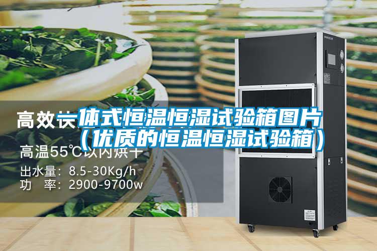 一體式恒溫恒濕試驗(yàn)箱圖片(優(yōu)質(zhì)的恒溫恒濕試驗(yàn)箱)