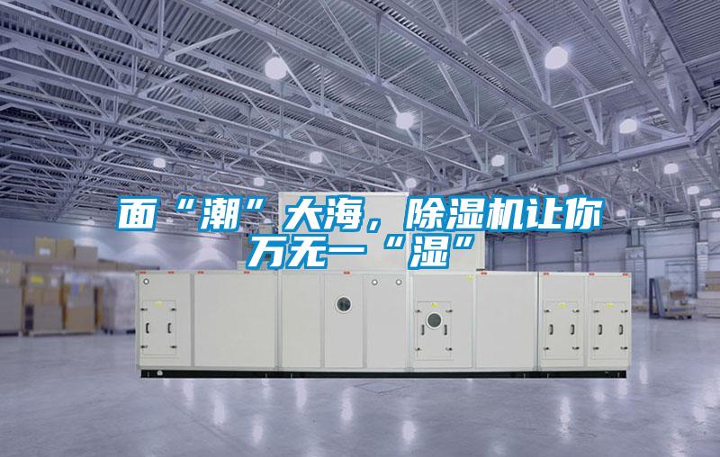 面“潮”大海，除濕機(jī)讓你萬(wàn)無(wú)一“濕”