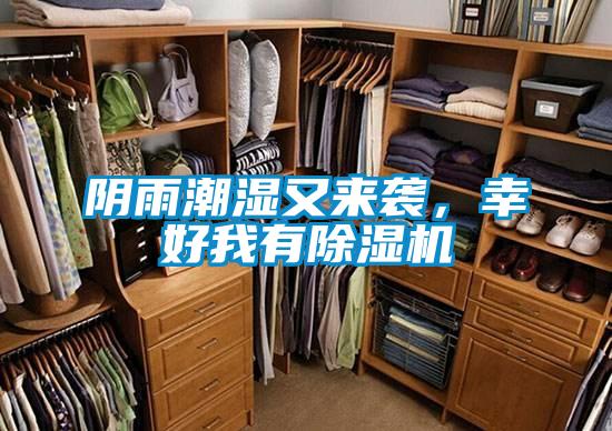 陰雨潮濕又來襲，幸好我有除濕機
