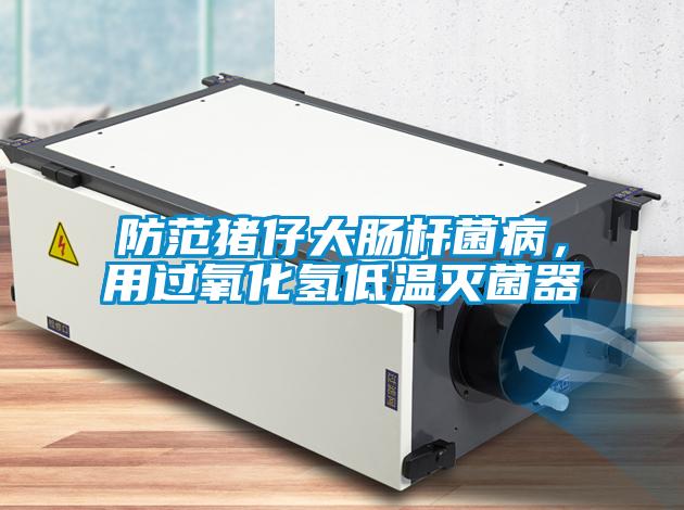 防范豬仔大腸桿菌病，用過氧化氫低溫滅菌器