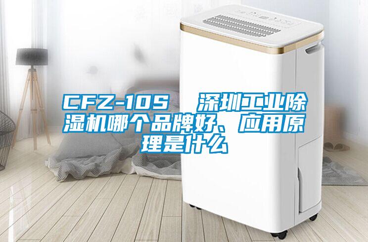 CFZ-10S 深圳工業(yè)除濕機哪個品牌好、應用原理是什么
