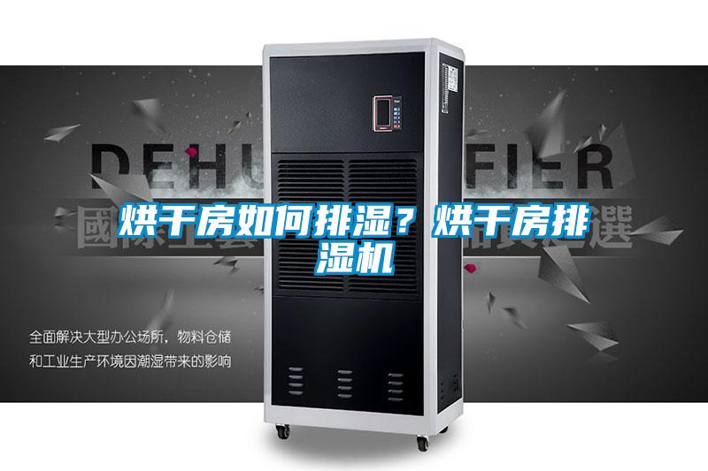 烘干房如何排濕？烘干房排濕機
