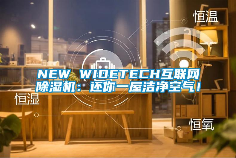 NEW WIDETECH互聯(lián)網(wǎng)除濕機：還你一屋潔凈空氣！