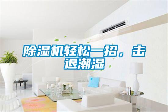 除濕機(jī)輕松一招，擊退潮濕
