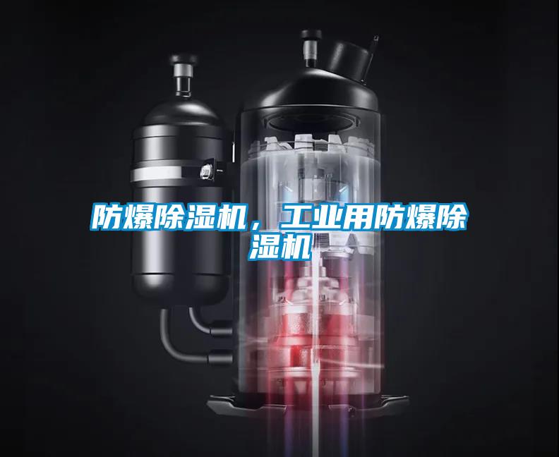 防爆除濕機，工業(yè)用防爆除濕機