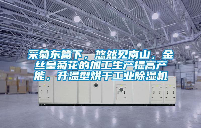 采菊東籬下，悠然見南山，金絲皇菊花的加工生產(chǎn)提高產(chǎn)能，升溫型烘干工業(yè)除濕機(jī)