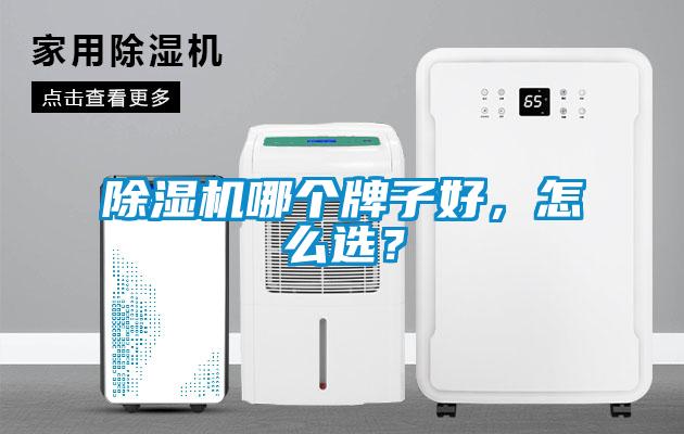 除濕機哪個牌子好，怎么選？