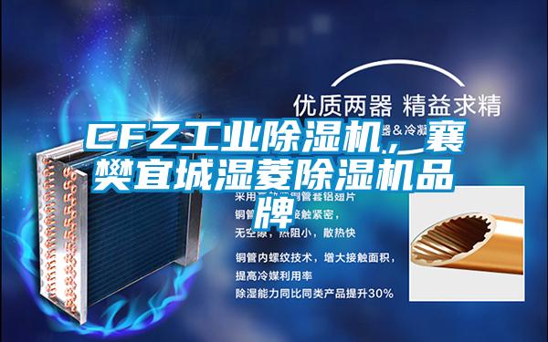CFZ工業(yè)除濕機，襄樊宜城濕菱除濕機品牌