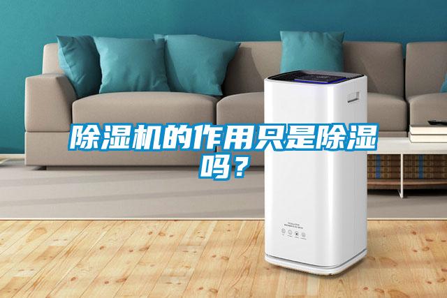 除濕機的作用只是除濕嗎？