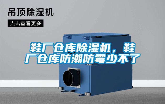 鞋廠倉庫除濕機(jī)，鞋廠倉庫防潮防霉少不了