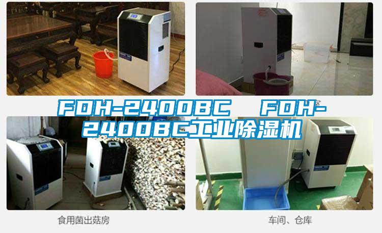 FDH-2400BC FDH-2400BC工業(yè)除濕機