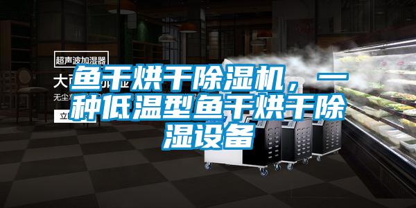 魚干烘干除濕機，一種低溫型魚干烘干除濕設(shè)備