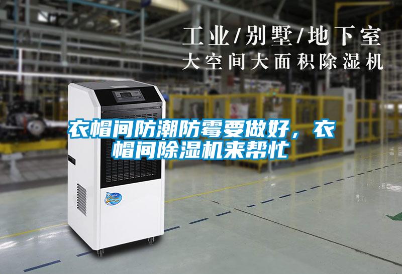 衣帽間防潮防霉要做好，衣帽間除濕機(jī)來(lái)幫忙