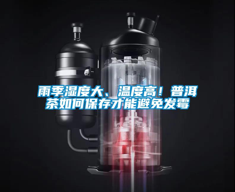 雨季濕度大、溫度高！普洱茶如何保存才能避免發(fā)霉