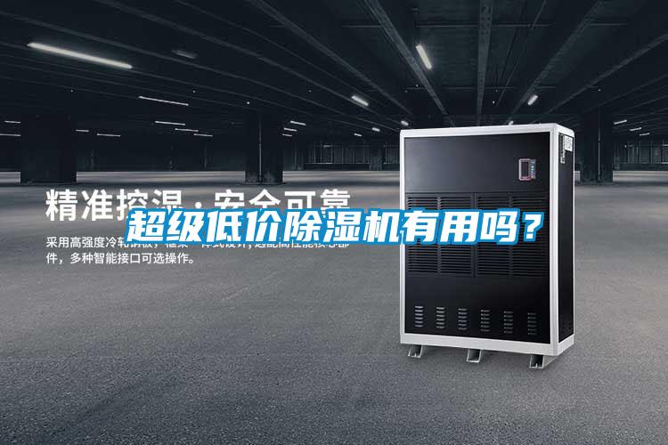 超級低價(jià)除濕機(jī)有用嗎？