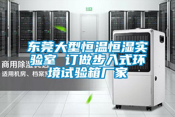 東莞大型恒溫恒濕實驗室 訂做步入式環(huán)境試驗箱廠家
