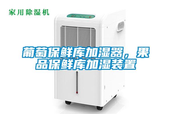 葡萄保鮮庫加濕器，果品保鮮庫加濕裝置