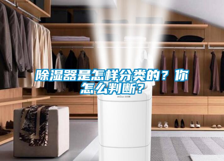 除濕器是怎樣分類的？你怎么判斷？