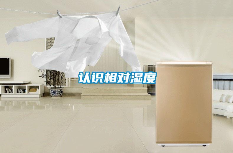 認(rèn)識(shí)相對(duì)濕度