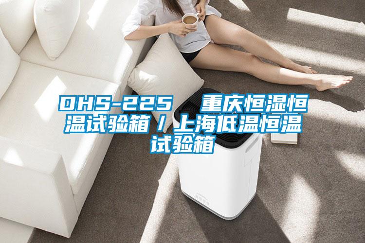 DHS-225 重慶恒濕恒溫試驗(yàn)箱/上海低溫恒溫試驗(yàn)箱