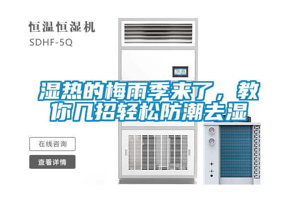 濕熱的梅雨季來了，教你幾招輕松防潮去濕