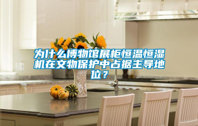 為什么博物館展柜恒溫恒濕機在文物保護中占據(jù)主導地位？