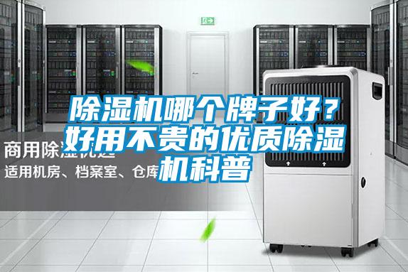 除濕機哪個牌子好？好用不貴的優(yōu)質除濕機科普