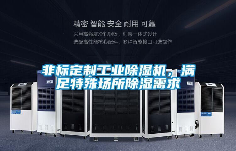 非標(biāo)定制工業(yè)除濕機(jī)，滿足特殊場所除濕需求