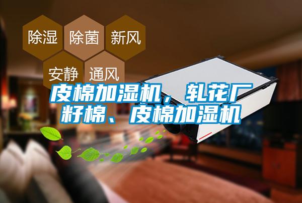 皮棉加濕機(jī)，軋花廠籽棉、皮棉加濕機(jī)