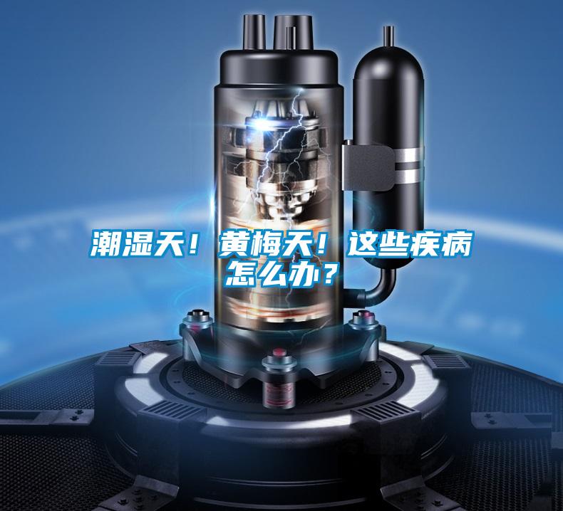 潮濕天！黃梅天！這些疾病怎么辦？