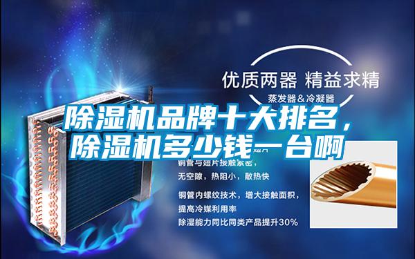 除濕機(jī)品牌十大排名，除濕機(jī)多少錢(qián)一臺(tái)啊
