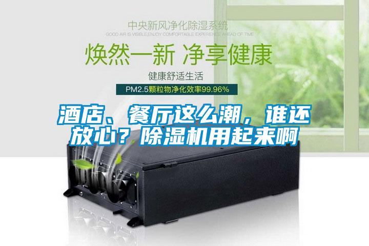 酒店、餐廳這么潮，誰還放心？除濕機用起來啊