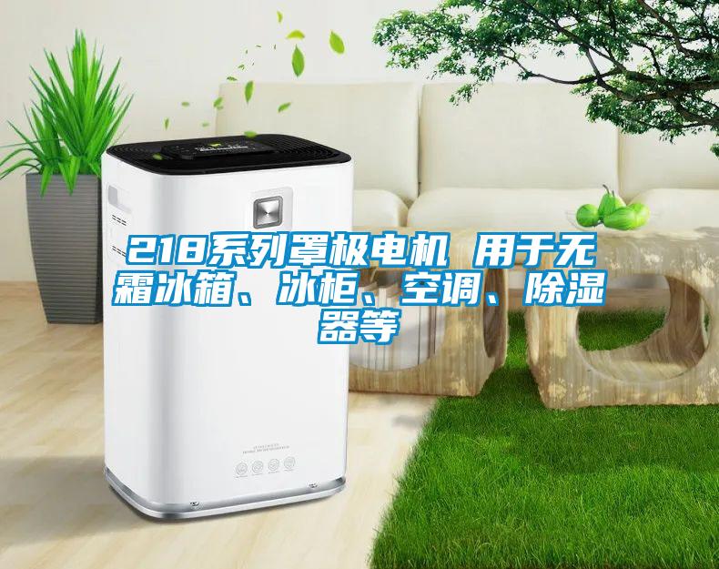 218系列罩極電機(jī) 用于無(wú)霜冰箱、冰柜、空調(diào)、除濕器等