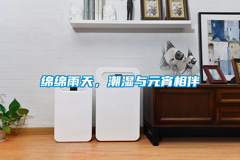 綿綿雨天，潮濕與元宵相伴