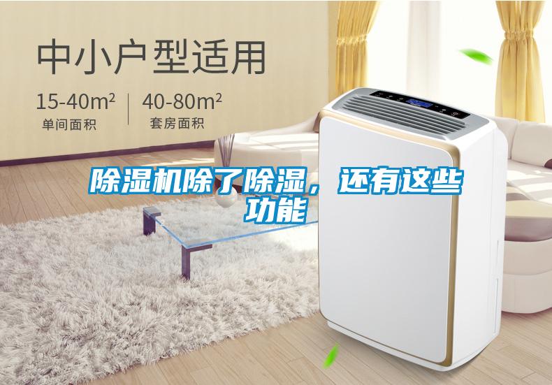 除濕機(jī)除了除濕，還有這些功能