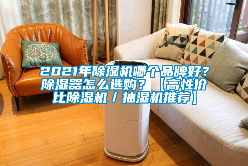 2021年除濕機(jī)哪個(gè)品牌好？除濕器怎么選購(gòu)？【高性價(jià)比除濕機(jī)／抽濕機(jī)推薦】