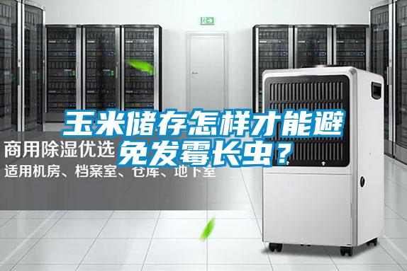 玉米儲(chǔ)存怎樣才能避免發(fā)霉長(zhǎng)蟲？